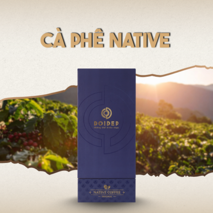 Cà Phê Native Dạng Hộp Ảnh Đại Diện | Đôi Dép