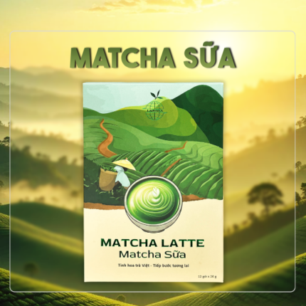 Matcha Sữa Ảnh Đại Diện | Đôi Dép